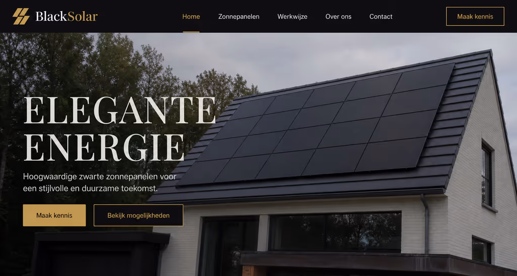 Voorbeeld van een door InternetYou gebouwde website (blacksolar.nl)